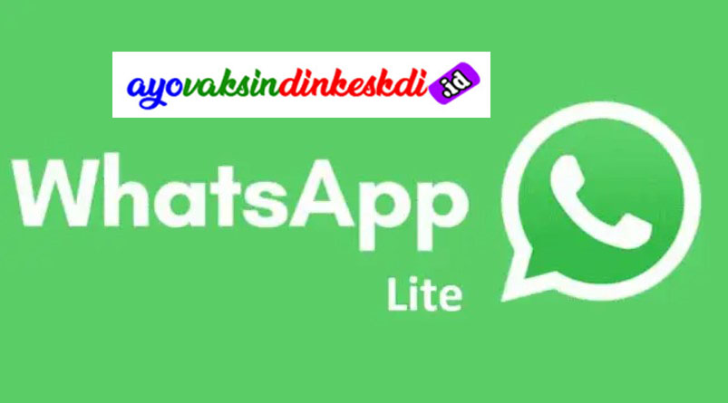 Berbagai Fitur Premium WhatsApp Lite Apk Terbaru