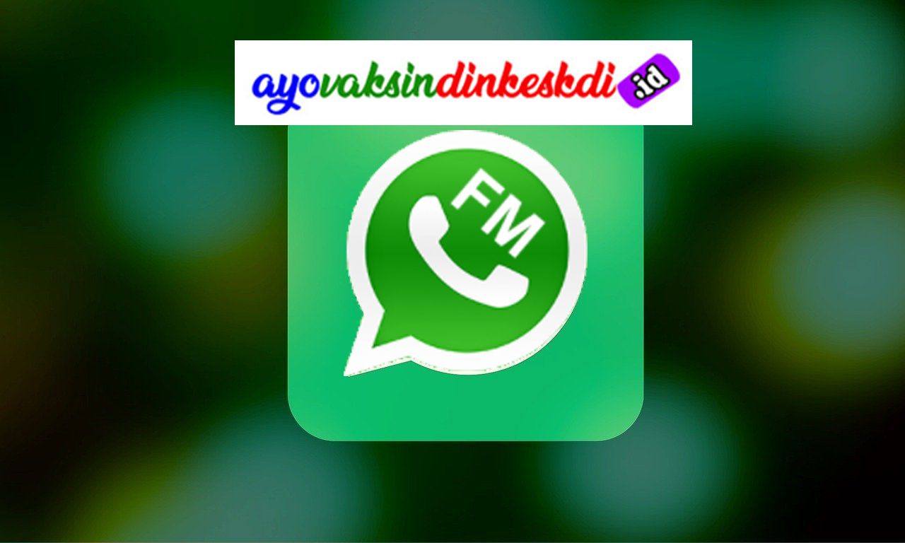 Perbedaan FM WhatsApp Apk Mod dengan WhatsApp Resmi di PlayStore