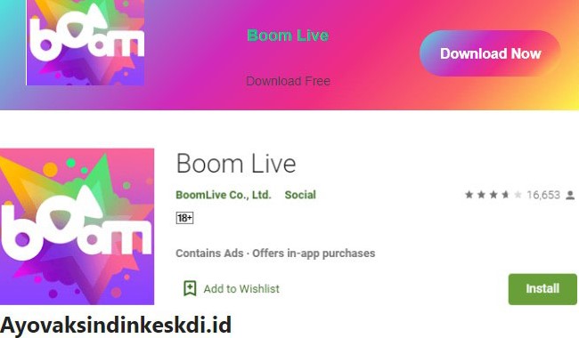 boom-live