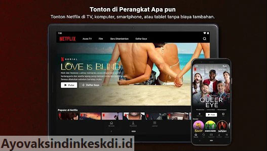 Netflix-Mod-Apk-Download-2022-Sub-Indonesia