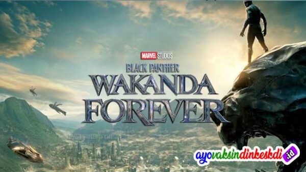 Nonton Film Wakanda Forever 2022 Sub Indo