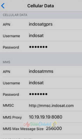 Pengaturan-APN-Indosat-iPhone