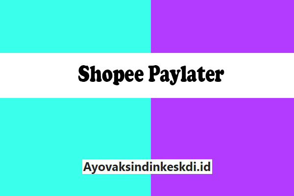 Shopee-Paylater