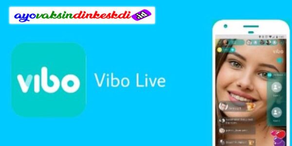 Vibo Live