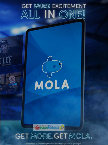 mola-tv