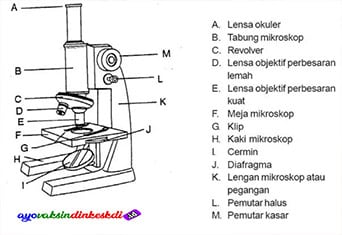 Bagian-Bagian Mikroskop dan Fungsinya
