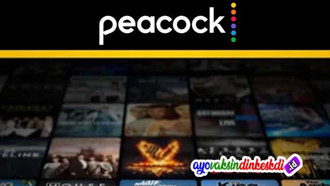 Peacock TV Apk