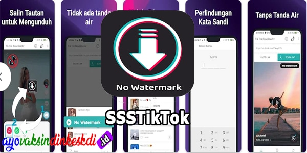 2. SSSTikTok - TT Video Downloader