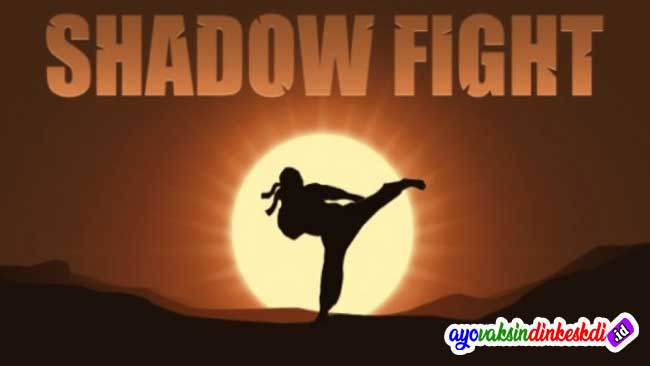 Shadow Fight Mod Apk