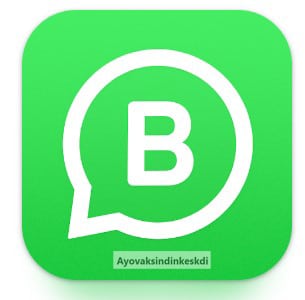 business-whatsapp-apk