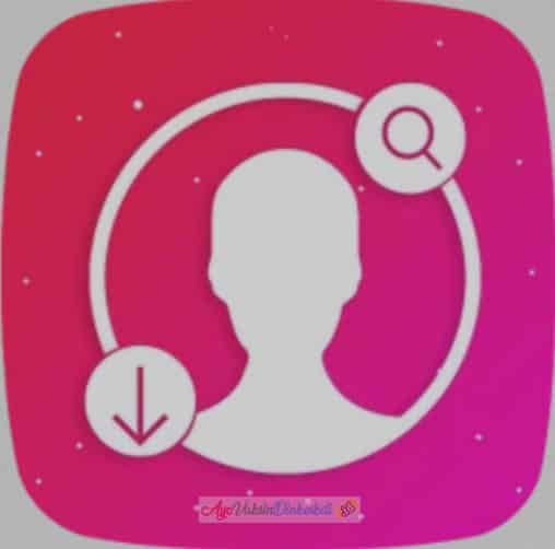 Cara-Download-Menggunakan-Profile-Photo-Downloader-for-Instagram