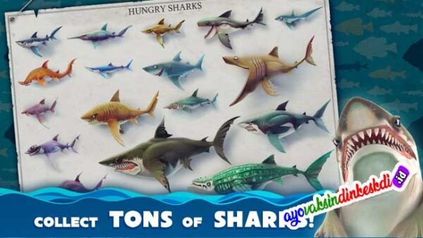 Link Download Hungry Shark World Mod Apk