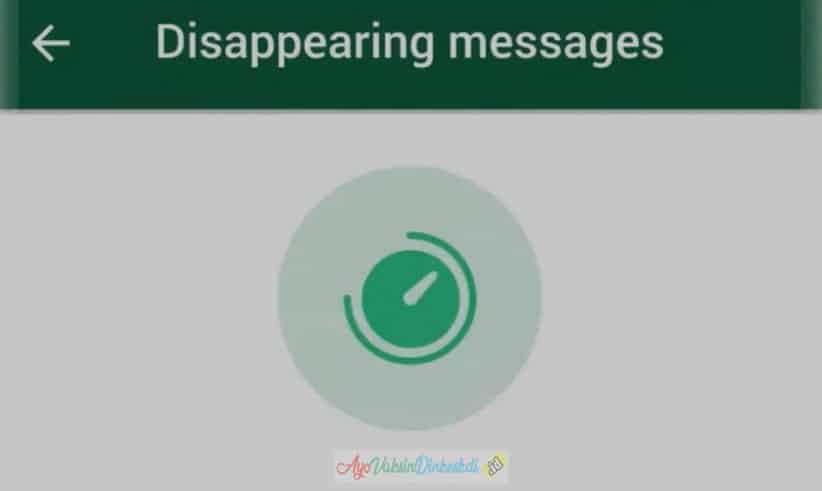 Disappearing Message WhatsApp Artinya Apa