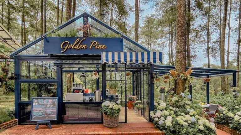 Golden Pine Cafe