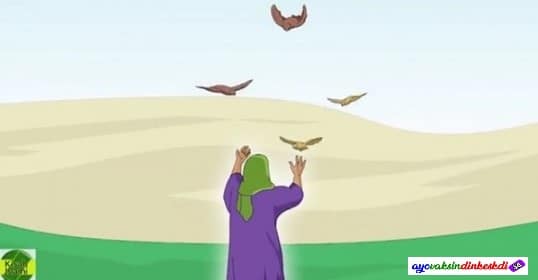 Mukjizat Nabi Ibrahim Alaihissalam Berbicara Dengan Burung